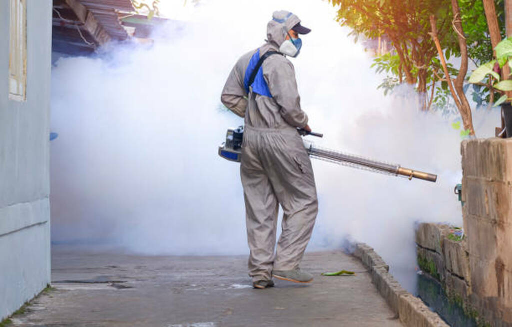 pest control lagos